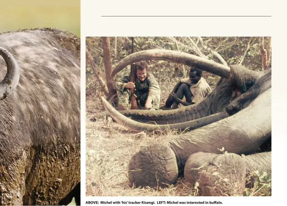  ??  ?? ABOVE: Michel with ‘his’ tracker Kisengi. LEFT: Michel was interested in buffalo.