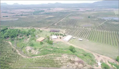  ??  ?? La estancia de justo Cárdenas, de 556 hectáreas en Pirayú (Paraguarí), que está a nombre de Agroindust­rial Ganadera.