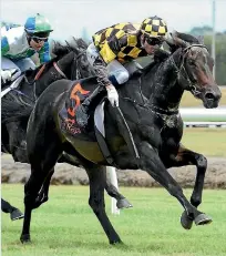  ?? PHOTO: TRISH DUNELL ?? Promise To Reign hopes to be the bride this time at Ellerslie in the Group 2 Avondale Cup instead of the bridesmaid as she has been of late.