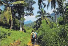  ??  ?? Sri Lanka bietet mehr als Strand – etwa Touren durch den Regenwald.