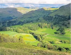  ??  ?? Farmers are incorporat­ing woodlands on their land to create shelter belts.