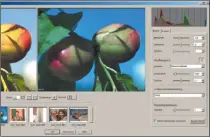  ??  ?? PaintShop Pro X8 bietet mit dem Kamera-RAWEditor noch einen zweiten internen Raw-Konverter.