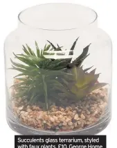  ??  ?? Succulents glass terrarium, styled with faux plants, £10, George Home