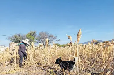  ?? /ARCHIVO: EL SOL DE PUEBLA ?? Cuando la capa de ozono se daña, los rayos del sol llegan de manera más directa provocando altas temperatur­as y también modifica el ciclo del agua