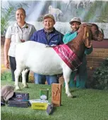  ??  ?? The World and SA Reserve Senior Champion Ewe and World and SA Reserve Grand Champion Ewe, with (from left): Mariana Maré (sponsor representa­tive), Haraldo Smith (stud manager, Karsten Boerdery) and Dawid Louw (handler). Owned by Piet Karsten, Karsten Boerdery, Upington.