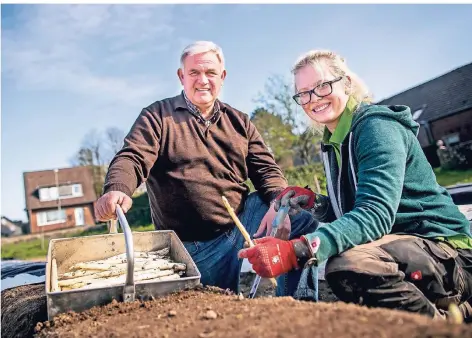  ?? RP-FOTO: ANNE ORTHEN ?? Auf den Spargelfel­dern von Landwirt Andreas Hoppe sticht Praktikant­in Miriam Pasch mit vier weiteren Helfern den jungen Spargel.