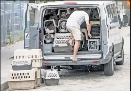  ?? ?? NEW ARRIVALS: Volunteers with Waldo’s Rescue Pen unload dogs from a packed van that arrived at the South Street Seaport from Georgia.