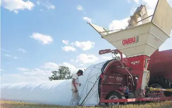  ??  ?? Silo-bolsa. La Federación de Acopiadore­s estima que unas 4 millones de toneladas de trigo de esta campaña se van a guardar en las “bolsas”.