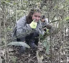  ??  ?? Lilia Davis graduated this year from Kamehameha Schools Maui and intends to study environmen­tal science at the University of Denver this fall.