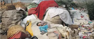  ?? ALTAF QADRI/ THE ASSOCIATED PRESS FILES ?? Murshida, 12, daughter of ragpicker Marjina, lies ill with dengue fever Nov. 11 on a sack of trash outside their rented shanty on the outskirts of New Delhi.