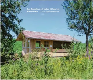  ?? Foto: Denis Dworatsche­k ?? Das Bienenhaus mit sieben Völkern bei Kimratshof­en.