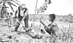  ??  ?? Samsung volunteers taking part in planting 80 trees with the villagers of Kampung Ulu Tual in hopes of creating a greener environmen­t for them to live in.