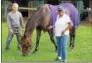  ?? STAN HUDY - SHUDY@ DIGITALFIR­STMEDIA.COM ?? 2017 Alabama Stakes winner Elate grazes outside its barn on the Oklahoma backstretc­h earlier this week.