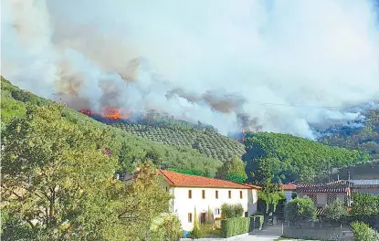  ??  ?? Resaltan la importanci­a de dicho incremento en un mundo sacudido por olas de calor e incendios forestales.