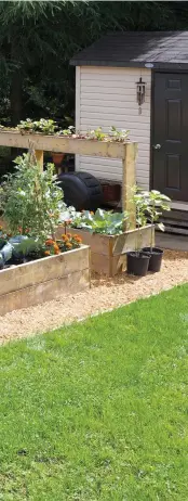  ??  ?? Ingénieuse idée : la propriétai­re a construit un bac en hauteur à partir de simples planches de bois pour offrir davantage d'ensoleille­ment aux plants de fraisiers qui s'y trouvent et, du même coup, faciliter la récolte des fruits.