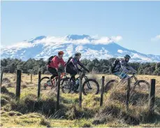  ??  ?? Ohakune Old Coach Road Bike Trail