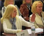  ?? PHOTOS BY PETE BANNAN — DIGITAL FIRST MEDIA ?? Amy Rice, executive director, Handi-Crafters Inc., speaks at a Pennsylvan­ia Senate Democratic Policy Committee hearing Thursday at their facilities in Thorndale.