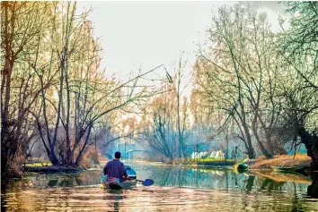  ??  ?? Oars of shikara cuts through the clear waters of Dal Lake