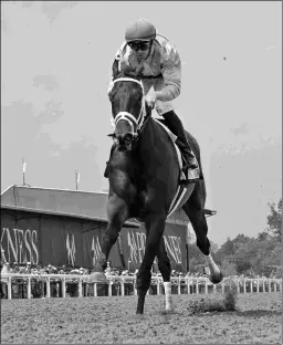  ?? BARBARA D. LIVINGSTON ?? Super Quick earns a Beyer Figure of 107 for winning the Allaire duPont Stakes at Pimlico last Friday.