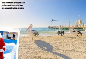  ??  ?? You’re more likely to see pelicans than reindeer on an Australian cruise.