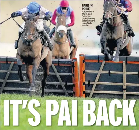  ??  ?? PARK ‘N’ PRIDE Paisley Park and AIdan Coleman (right) on way to landing the Long Walk Hurdle