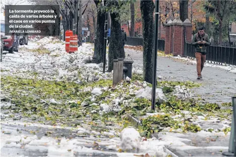  ?? /MARIELA LOMBARD ?? La tormenta provocó la caída de varios árboles y el caos en varios puntos de la ciudad.