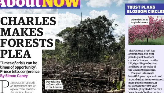  ??  ?? Devastatin­g deforestat­ion in the Amazon
Abundant crab apple blossom