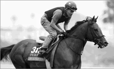  ?? BARBARA D. LIVINGSTON ?? Oscar Performanc­e has not raced since a ninth-place finish in the Grade 1 Breeders’ Cup Turf .