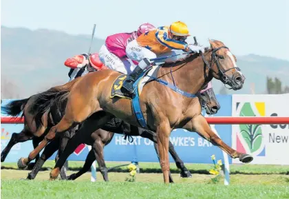  ?? Photo / Trish Dunell ?? Te Akau Shark has retained favouritis­m for A$1m Epsom Handicap even after drawing barrier 16.