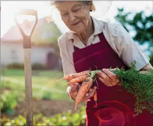  ??  ?? CAMPEONES VITALES. El país en el que más se incrementó la expectativ­a de vida en todo el mundo ha sido el Japón, donde el promedio se ubica en torno de los 83 años.