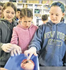  ?? FRAM DIMSHAW/THE NEWS ?? Julia MacInnis, Haley MacDonald and Sarah Chapman inspect a large tumour taken from a dog at the East River Animal Hospital on Tuesday.