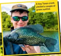  ??  ?? A tiny Texas creek yielded a couple of green sunfish
