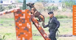  ?? ?? La Unidad Canina participa en acciones para prevenir delitos y auxiliar a la población en caso de desastres.