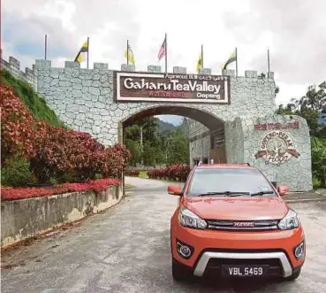  ??  ?? Pintu gerbang seakan Tembok Besar China di ladang teh menggamit pengunjung.