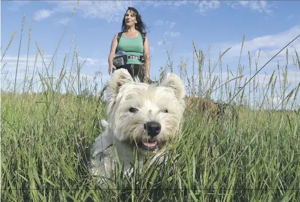  ?? ED KAISER ?? Ida Duncan and her dogs, like Magoo here, stared down the herbicide truck headed into Terwillega­r Park Friday, forcing city staff to promise a new round of consultati­ons on a proposed plan to spray the park for weeds.