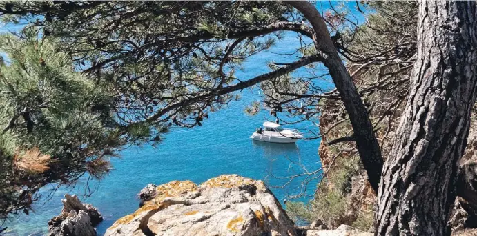  ?? Fotos: dpa ?? Wo der Wald auf das tiefblaue Meer trifft: Der Wanderweg Camí de Ronda bietet immer wieder interessan­te Ausblicke.