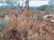  ?? BRUCE WATSON/ PNAS ?? This 2005 photo shows fossil- like rock found in Australia containing hints of life from 4.1 billion years ago.