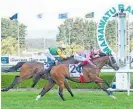  ?? Photo / Race Images ?? Wyndspelle will line up in Saturday’s Gr.1 Toorak Handicap (1600m) at Caulfield.