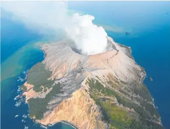  ?? Photo / File ?? Whakaari/White Island after December’s fatal volcanic eruption.