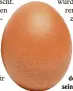  ?? Foto: Fotolia ?? Eier aus den Niederlan den können belastet sein.