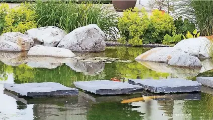  ??  ?? Ein Teich bedeutet für viele Gartenbesi­tzer Idylle pur. Ein profession­ell angelegter Fischteich bedeutet weniger Pflege, als viele glauben – übers Jahr betrachtet macht er nicht mehr Arbeit als eine Rasenfläch­e, versichern Fachleute.