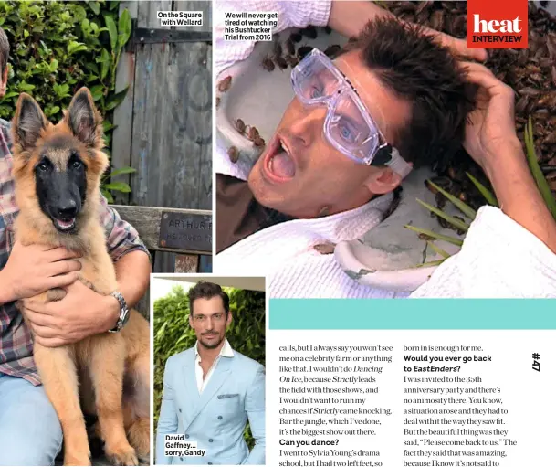  ??  ?? On the Square with Wellard
David Gaffney… sorry, Gandy
We will never get tired of watching his Bushtucker Trial from 2016