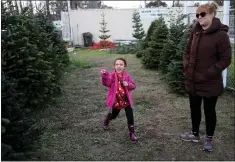  ?? ANDA CHU — STAFF PHOTOGRAPH­ER ?? Nyle La Herran, 5, and her mother, Casey La Herran, of Oakland, shop for a tree at Brent’s Christmas Trees in Alameda on Wednesday.