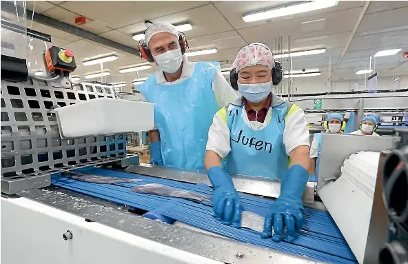  ?? ?? Sealord CEO Doug Paulin with staff in the wet fish factory, which has been hit by severe staffing shortages. Paulin plans to help out until the end of hoki season.