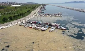  ?? Photograph: Anadolu agency/Getty Images ?? An aerial view of sea snot in Istanbul.