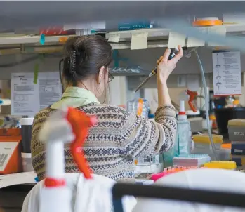  ?? ANNIK MH DE CARUFEL LE DEVOIR ?? Les bourses fédérales de recherche en santé, tout comme celles en sciences humaines, sont restées au niveau d’il y a près de 20 ans.