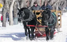  ?? RICHARD MARJAN/The StarPhoeni­x ?? Family Day in Kinsmen Park on Monday in Saskatoon included horse-drawn sleigh ridesand a skating party at Meewasin Rink.