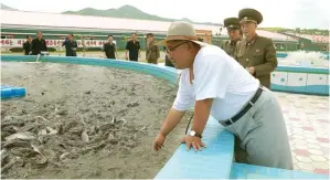  ?? KCNA VIA REUTERS ?? SANTAI: Kim Jong-un menginspek­si kolam lele pemerintah. Saat ini separo penduduk Korut kurang gizi.