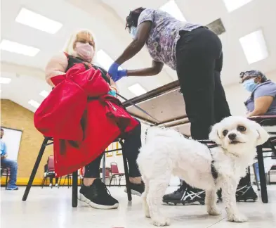  ?? CARLOS OSORIO / REUTERS ?? Nancy Doucet's emotional support dog, Boo, waits patiently as she is vaccinated with the Moderna COVID-19 vaccine
by a nurse from Humber River Hospital's mobile vaccine clinic at a Toronto Community Housing building.