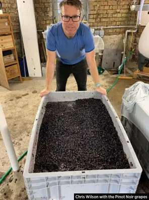  ??  ?? Chris Wilson with the Pinot Noir grapes